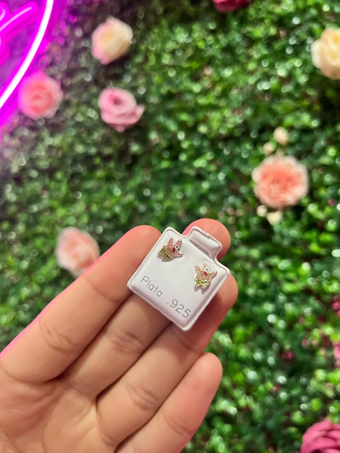 Arete Esmaltado De Plata