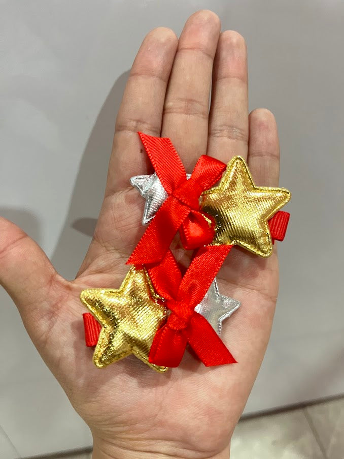 Pasdores con tematica navideña