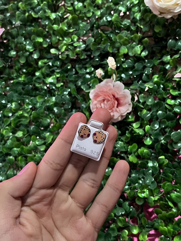 Arete Esmaltado De Plata