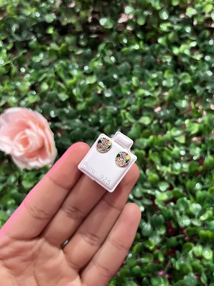 Arete Esmaltado De Plata