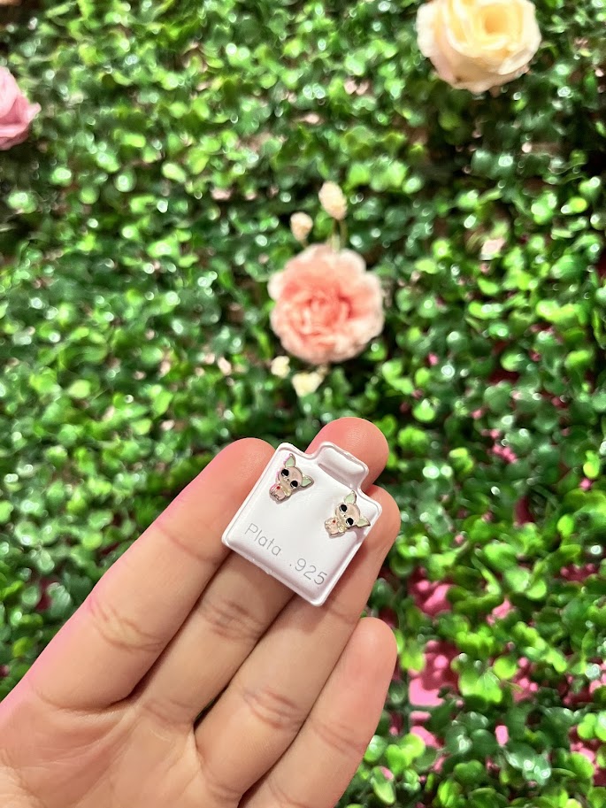 Arete Esmaltado De Plata