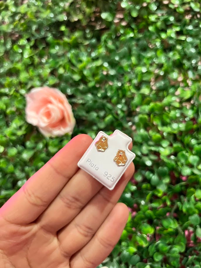 Arete Esmaltado De Plata