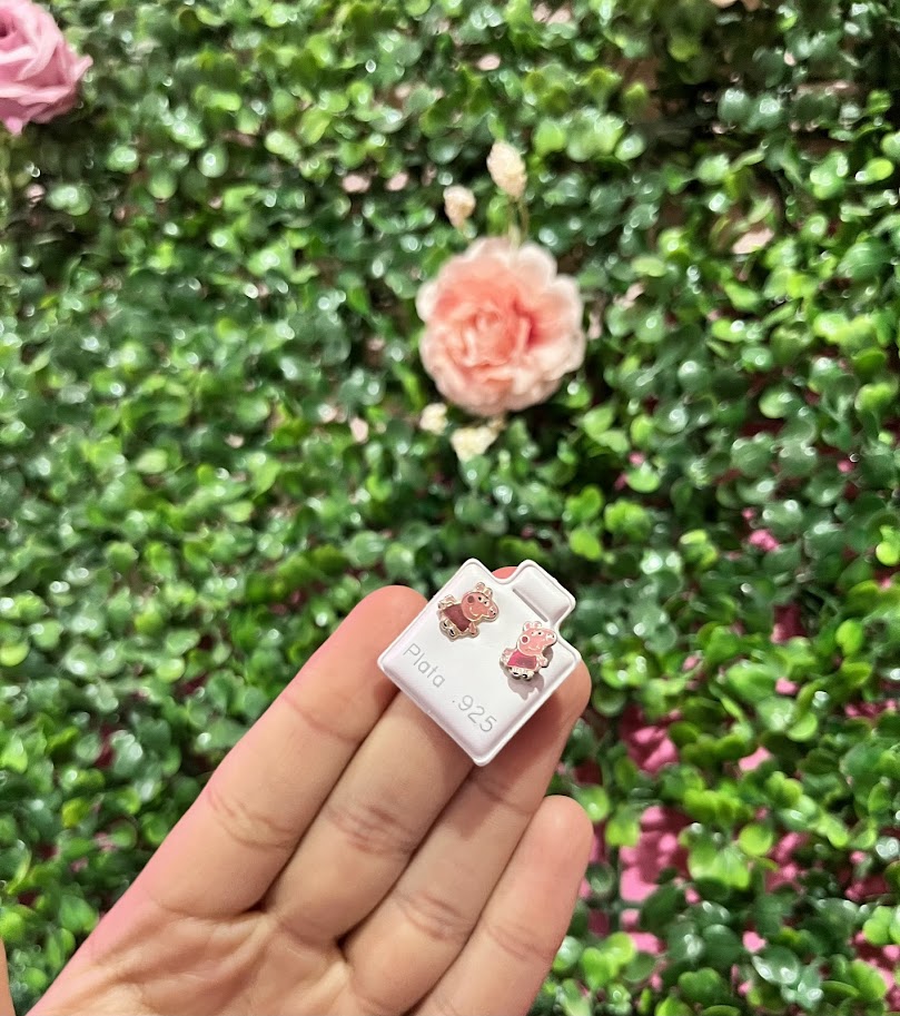 Arete Esmaltado De Plata