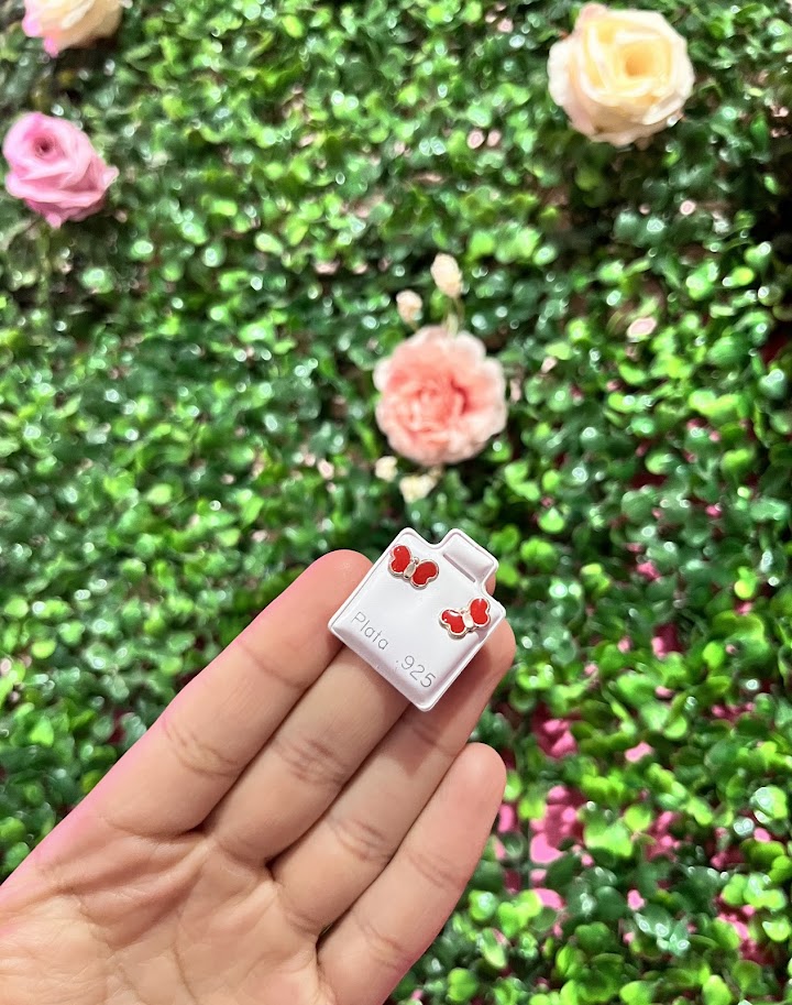 Arete Esmaltado De Plata