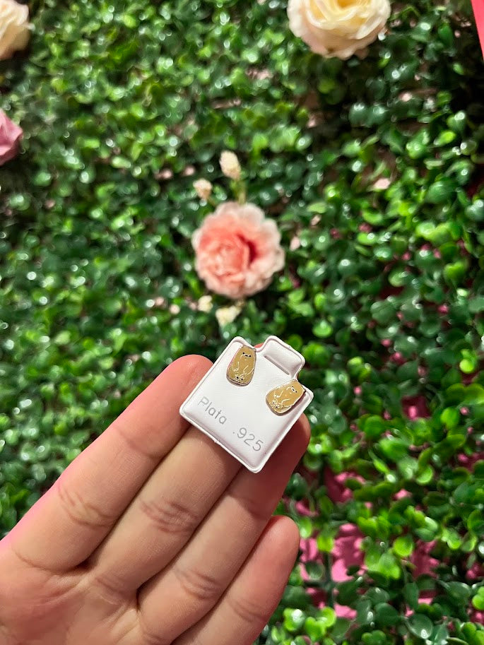 Arete Esmaltado De Plata