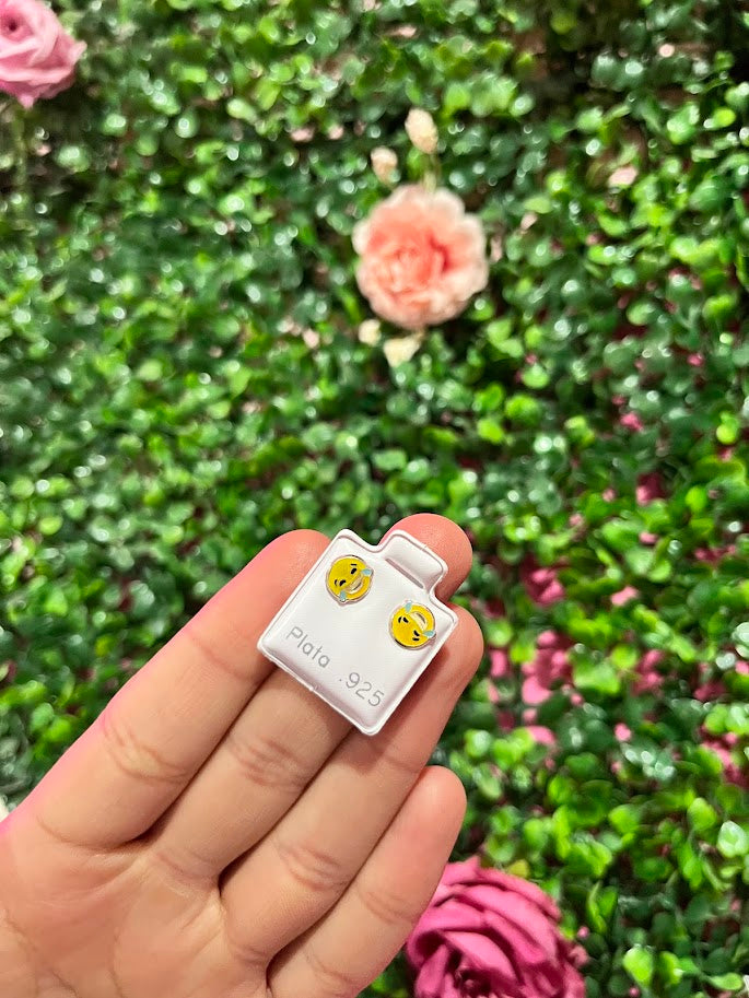 Arete Esmaltado De Plata