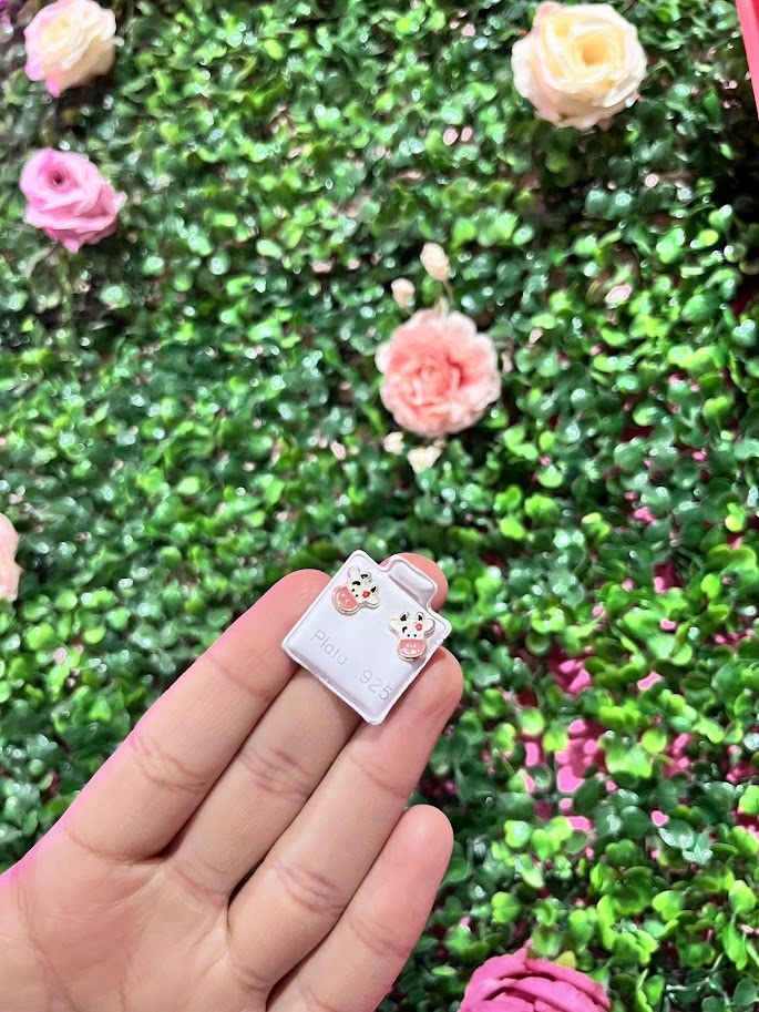 Arete Esmaltado De Plata