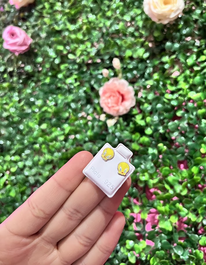 Arete Esmaltado De Plata