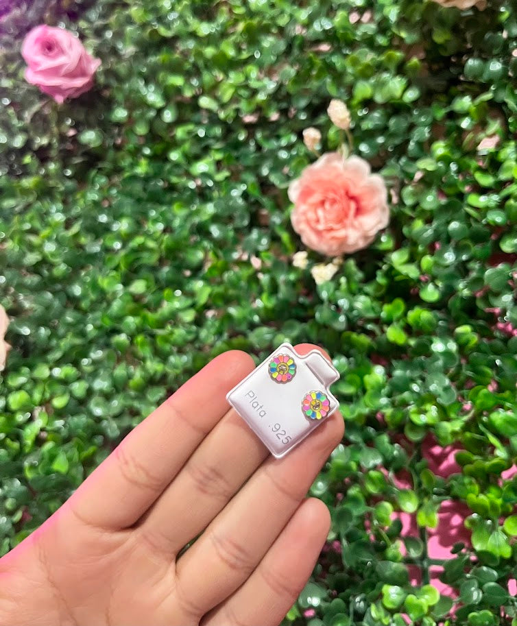 Arete Esmaltado De Plata