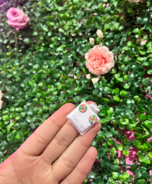 Arete Esmaltado De Plata