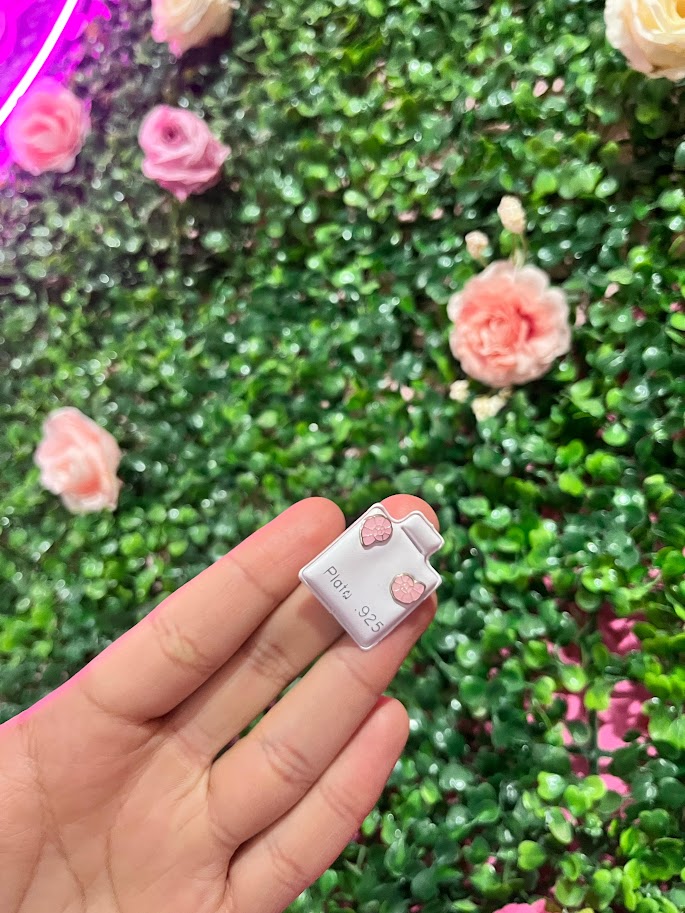 Arete Esmaltado De Plata